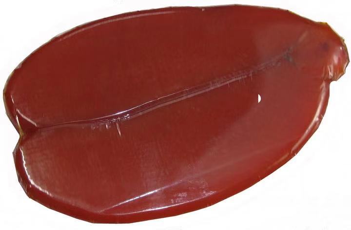 产地在中国的顶级食材,推荐给你这些中国产的名贵食材