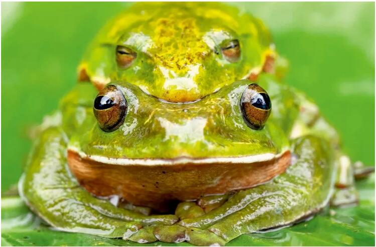 程斌摄影师,程斌摄影师作品