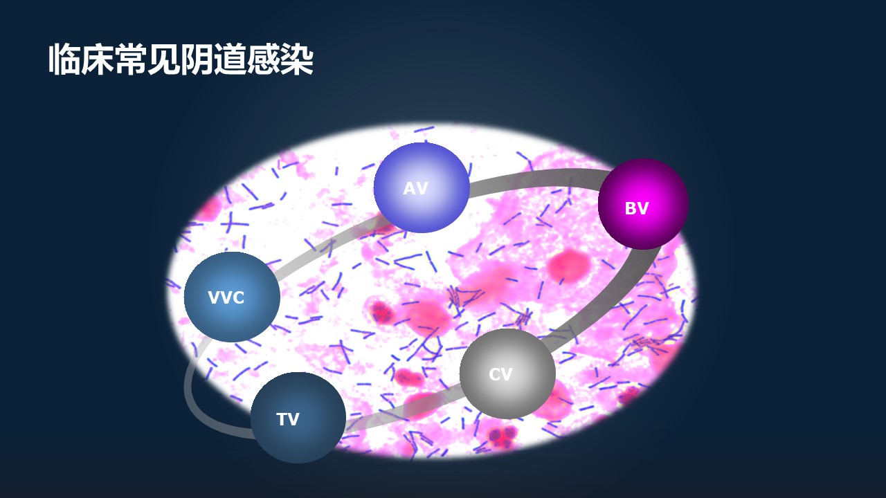 肖冰冰,肖冰冰的创作