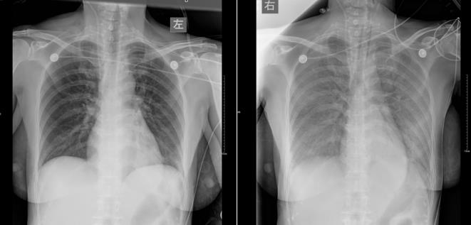 生活再难也别跟自己过不去,生活再难也别去抱怨