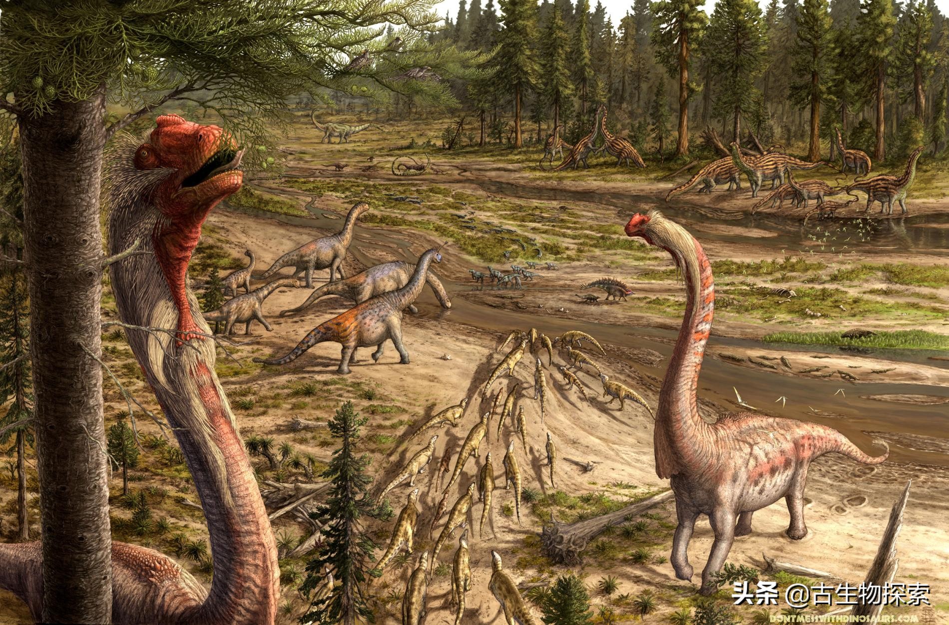 北美洲的恐龙有哪一些,阿根廷发现最古老巨型恐龙