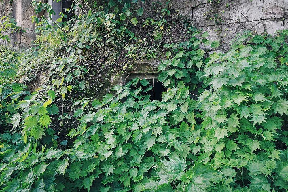 重庆市垫江县鹤游坪,垫江鹤游坪古镇