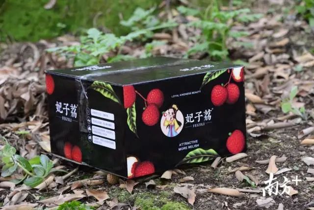 荔枝大王陈小敏直播卖货数据,荔枝大王陈小敏现在怎么样了