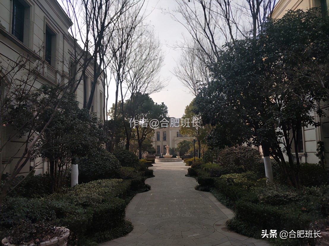 可以传世的房子格局,合肥汤臣一品海景房