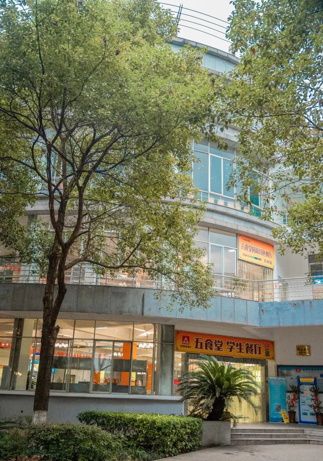 婀栧崡闀挎矙姘戞斂瀛﹂櫌,闀挎矙姘戞斂鑹烘湳瀛﹂櫌