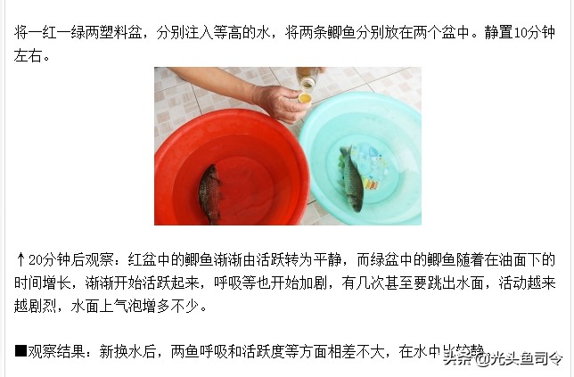 有柴油味的鱼怎么回事,有柴油的鱼可以吃吗