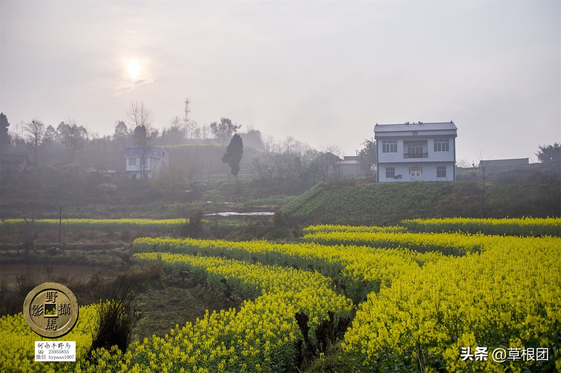 原广安县代市区有几个公社,广安消失的街道