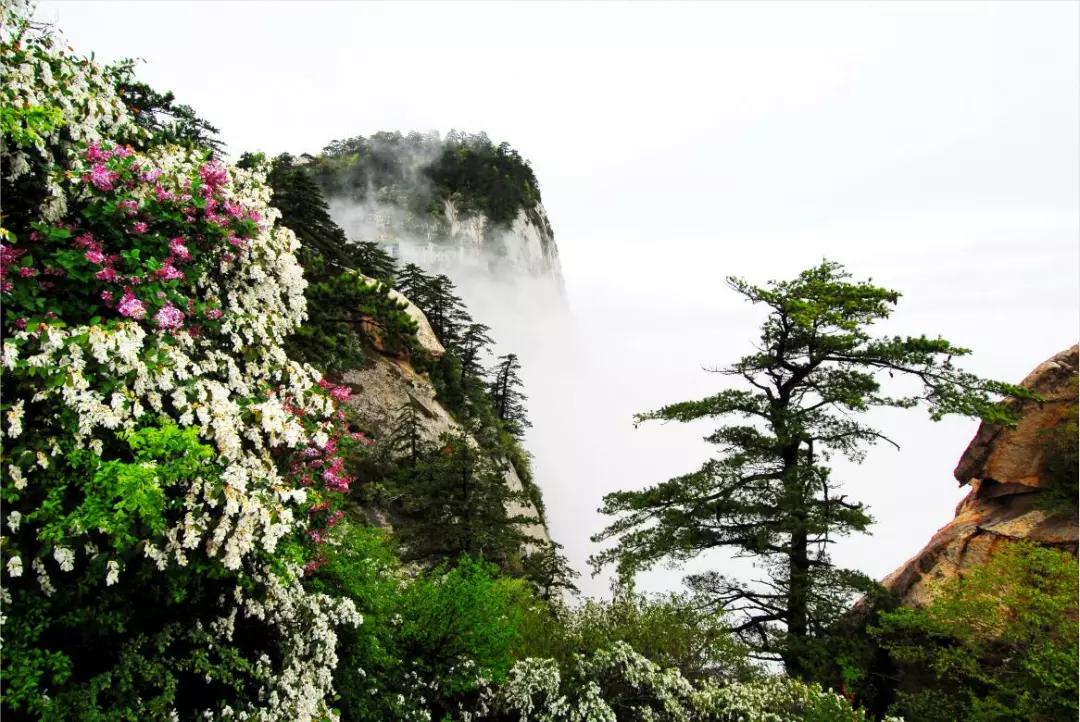 关于华山景区国庆节假期的通知,华山景区的旅游旺季和淡季