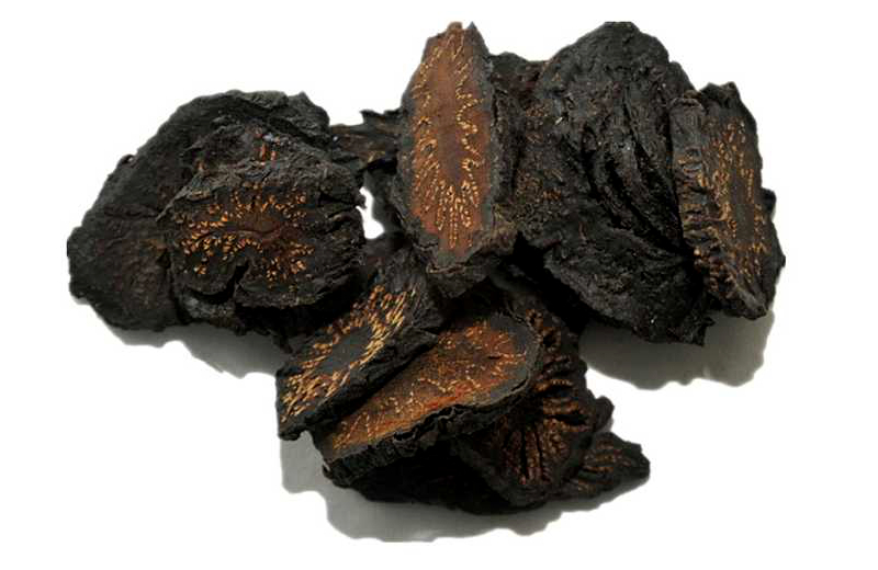 肉苁蓉适宜肾阳虚还是肾阴虚,肉苁蓉适合阳虚还是阴虚的人服用