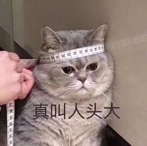 各种干扰不想学习？几种方法让你高度自律、高效学习！