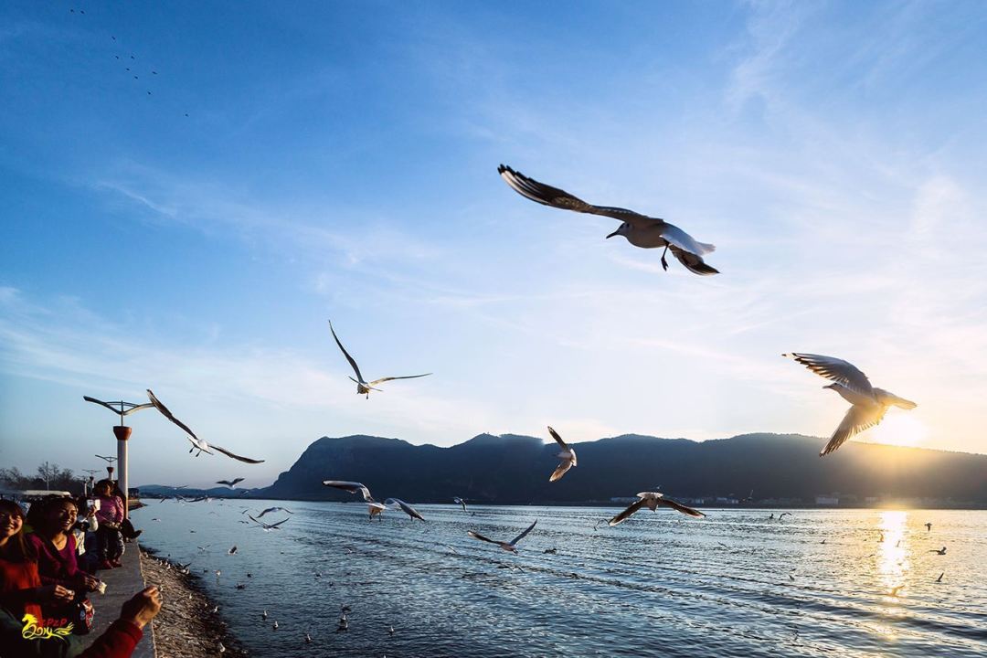 上海到洛杉矶直飞机票,上海直飞纽约机票