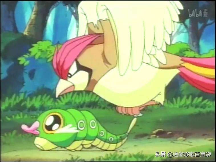 神奇宝贝最全图鉴,神奇宝贝图鉴大合集