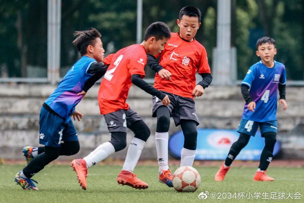 第一届2034杯小学生足球大会赛程,2034杯小学生足球大会集锦