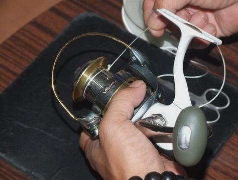 怎样成为钓鱼高手,如何成为钓鱼高手原神