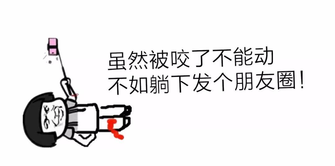 江西有60多种蛇，12种剧毒蛇，小心它们！