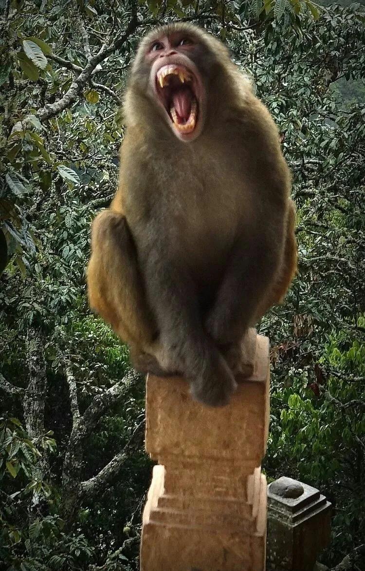 2015年9月9我上了剑川石宝山金顶寺