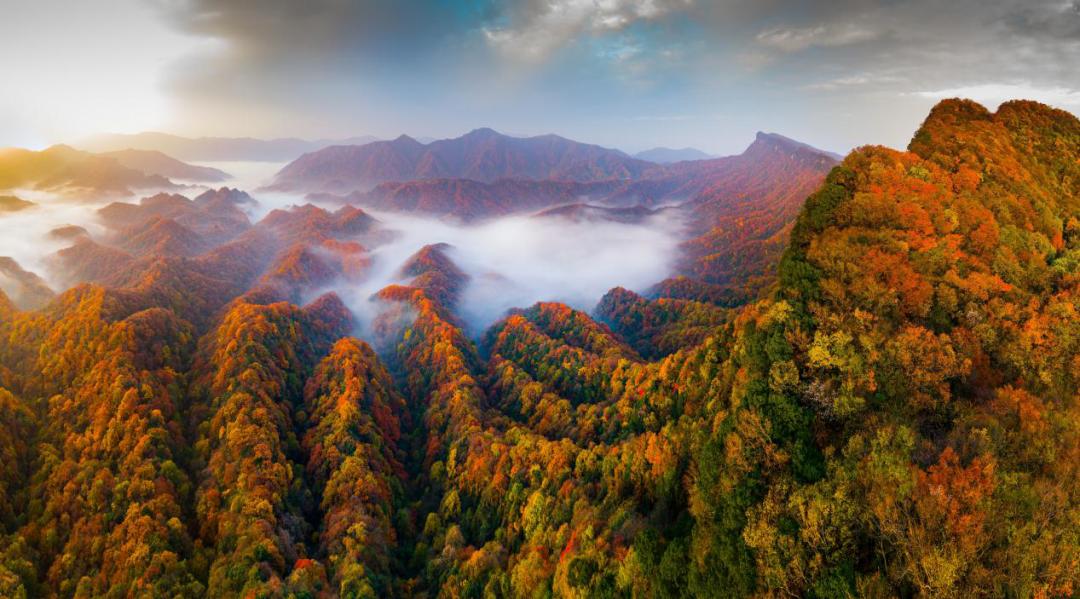 巴中光雾山红叶的最佳时间,红叶谷打卡地