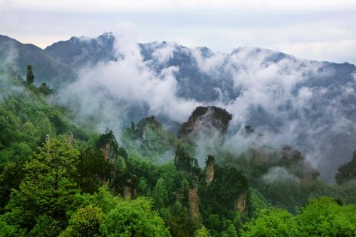 张家界国家森林公园雨天不好玩吗,雨天张家界能去吗现在有雨吗
