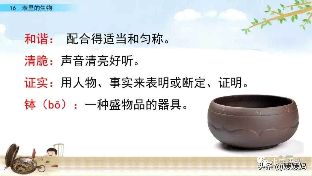 六年级下册语文表里的生物朗诵,六年级下册表里的生物小练笔400字