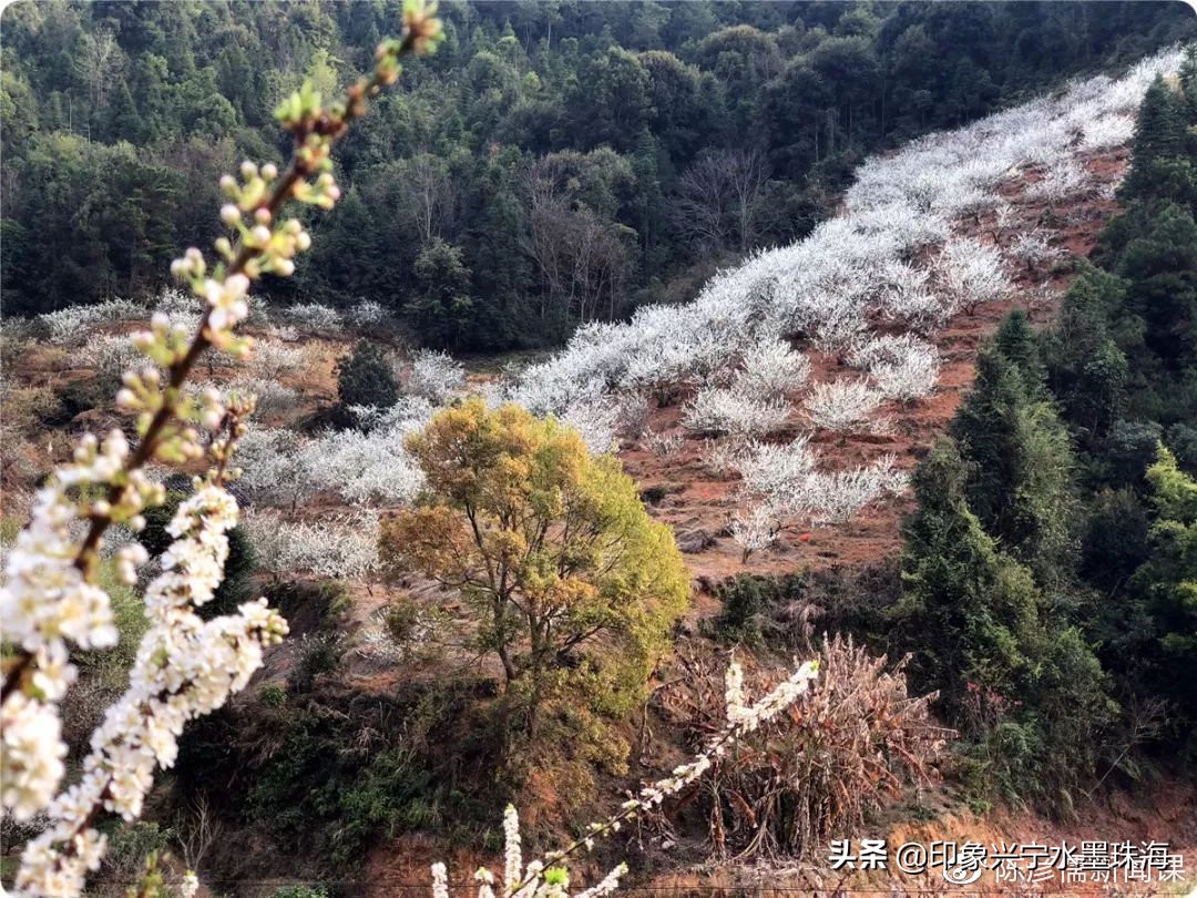 我叫夜明，活了一千多年了