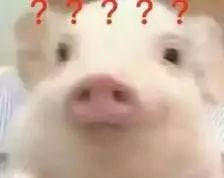 套薄的好还是厚的好,套厚的好还是薄的好