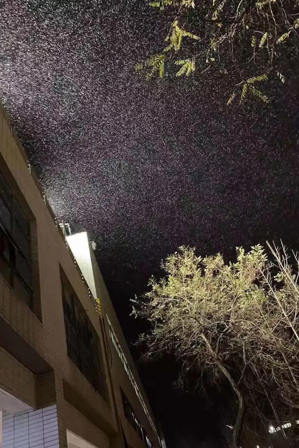 辽宁省高校(三十二)大连外国语大学