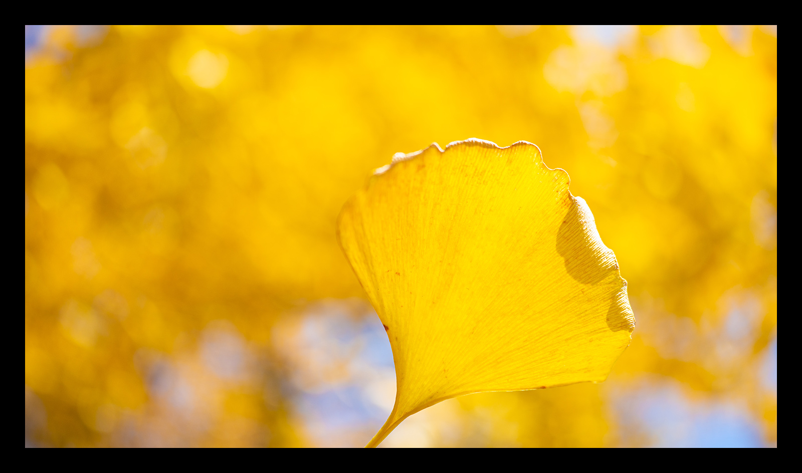 腾龙24mmf2.8全画幅广角微单镜头,腾龙352.8索尼镜头