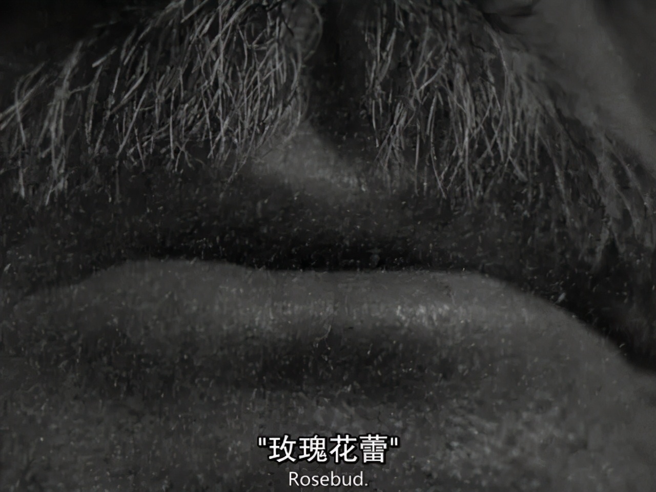 凯恩是英格兰的骄傲吗,凯恩和公民