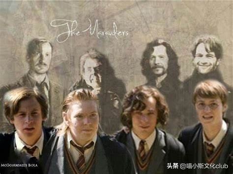 哈利波特：为何当选级长和男学生会主席的是罗恩，而不是哈利呢？