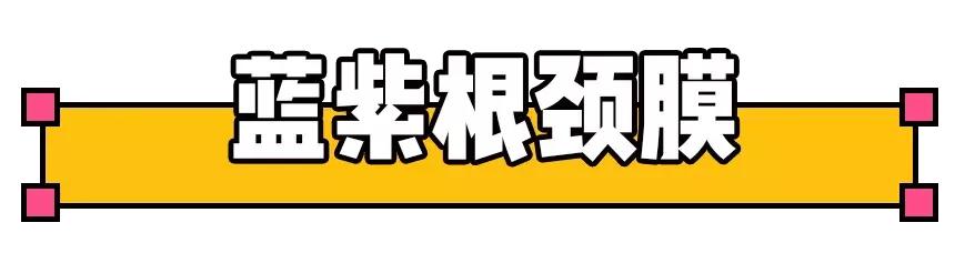 最不值得买的网红单品,永不回购的化妆品有哪些