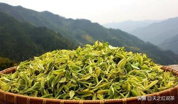 迎客松雪中美景,迎客松下