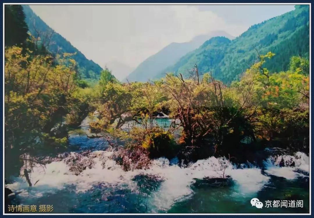 随笔丨颜绝九寨，醉人黄龙