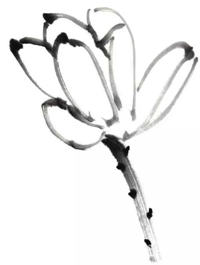 白描荷花100幅画法,荷花的画法白描图