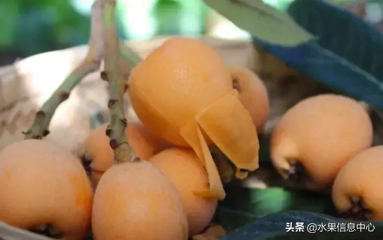 中国水果大全,中国水果大全图片和名字