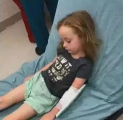 夏季孩子必须注意的虫子,夏天宝宝一定要小心蜱虫