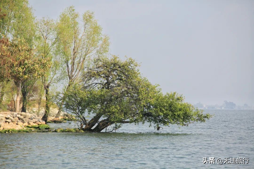 大理磻溪s弯网红打卡,大理洱海磻溪村s弯网红打卡地