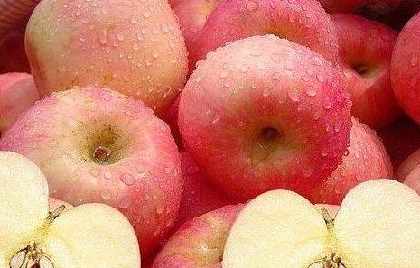 2023苹果批发价多少钱一斤,现在苹果批发价多少一箱