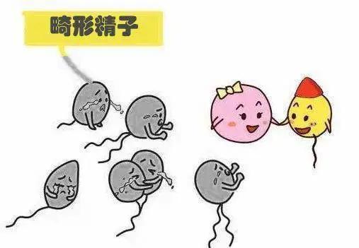 精子异常是怎么回事,精子异常是如何导致
