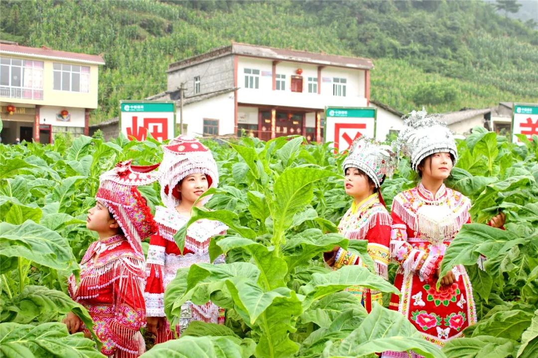 了解筠连,真正的筠连