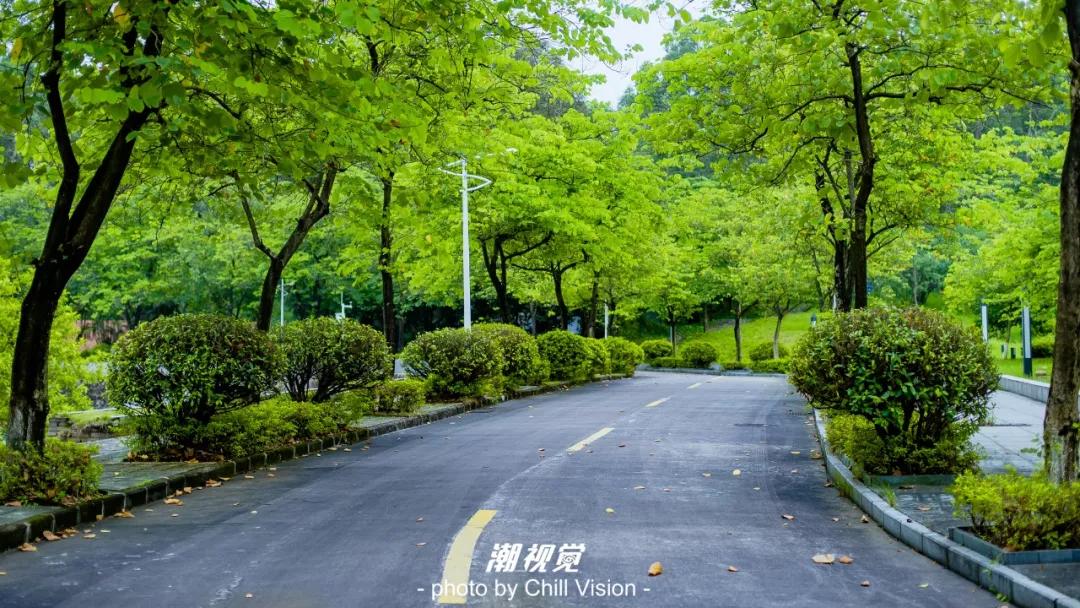 广东省内的大专院校排名表,广东省民办大专排行榜