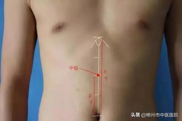 减肥何须心灵鸡汤,减肥何须饿肚子