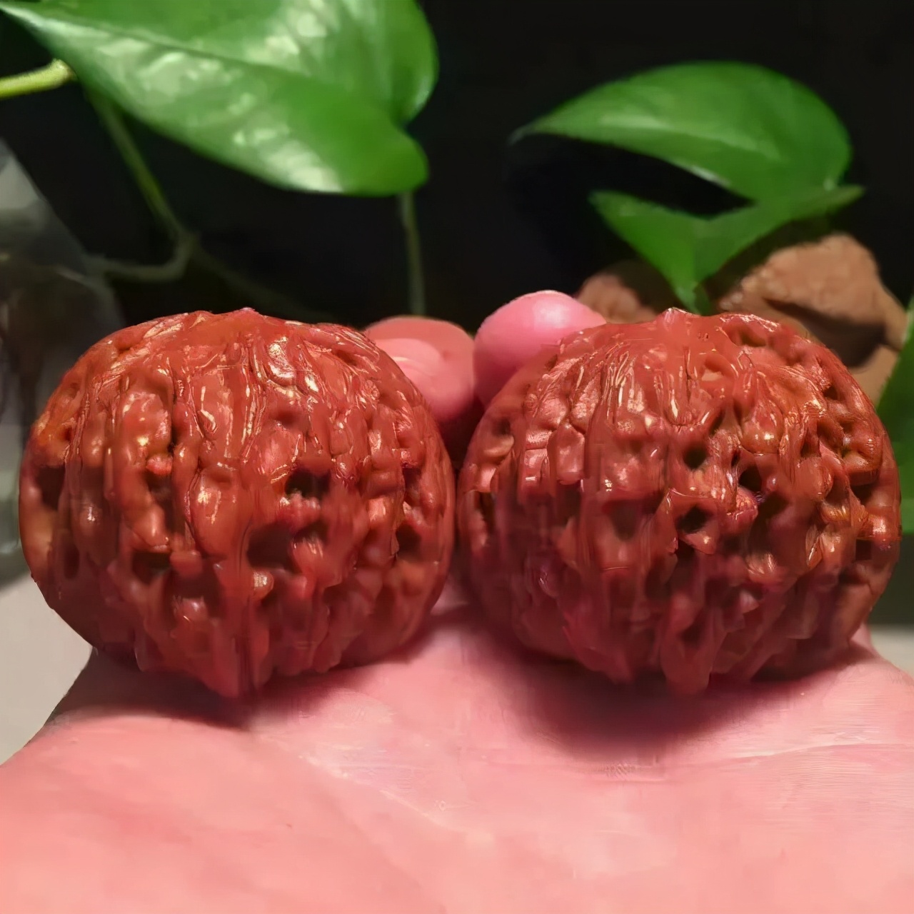 怎么快速盘核桃又红又亮,核桃包浆上色玉化最快的方法