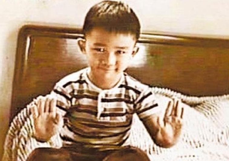 成为国家一级演员条件,刘德华入选国家一级演员了吗