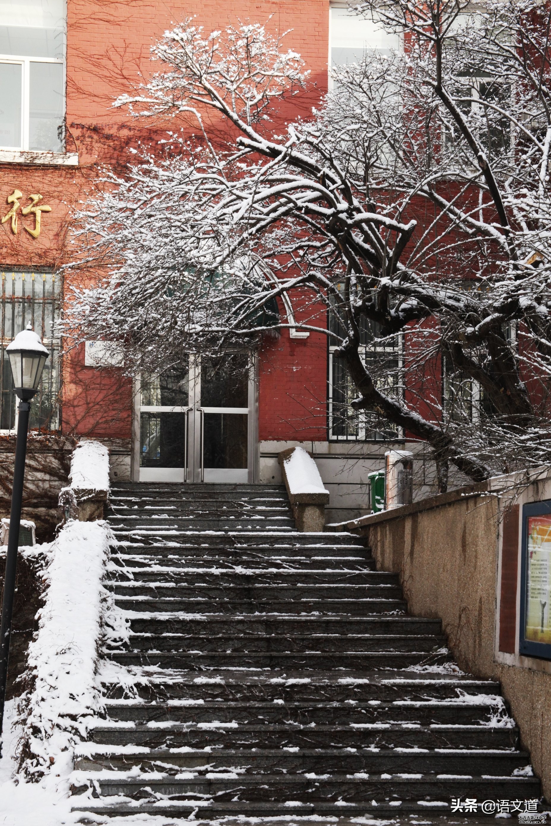 大连市金州区24中学,大连育明高中有多好