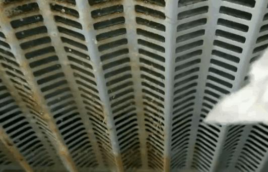 100元清洗油烟机是真的吗,餐饮蒸汽清洗油烟机靠谱吗