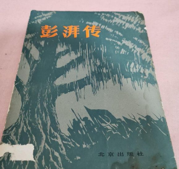 「雨读书（二）」浪潮百年仍澎湃”——读《彭湃传》有感