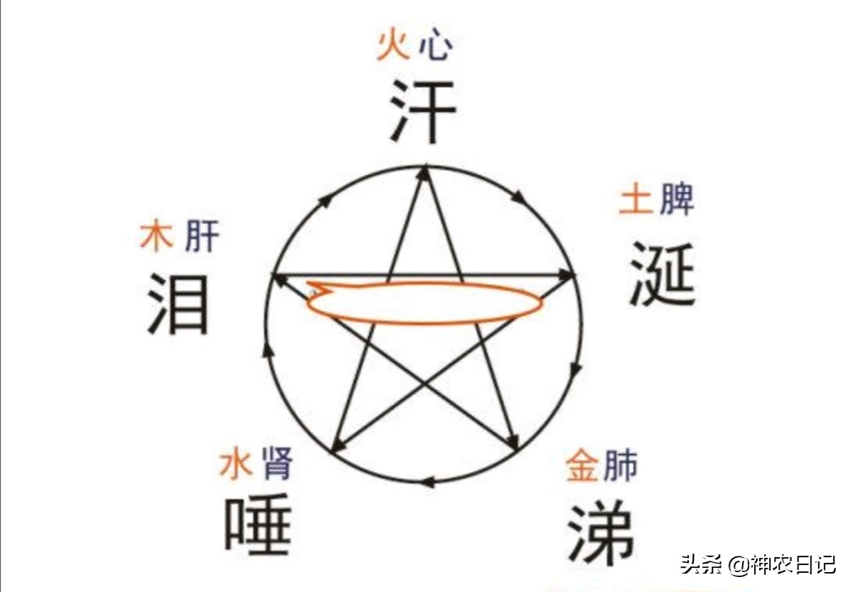 汗出在哪里病就在哪里,出汗部位不同反映身体健康状况