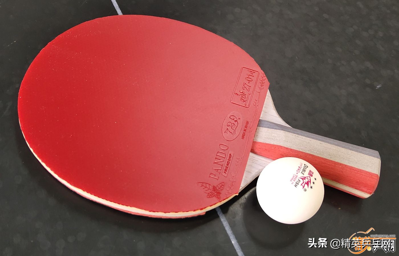 新纤维!新能量!萨姆索诺夫佛迪诺(Fortino)PRO终极甄选