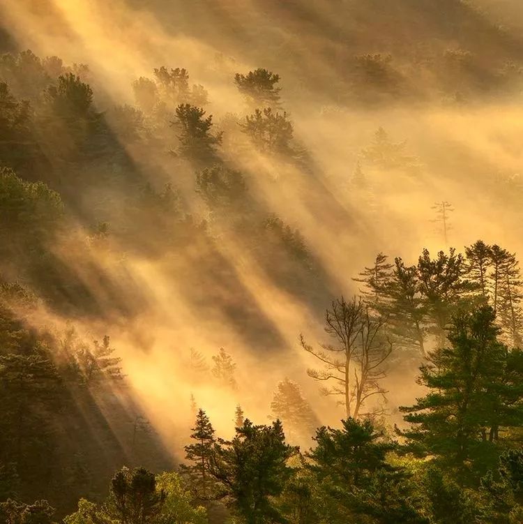 离俄罗斯只有一江之远,离黑龙江很近的俄罗斯城市