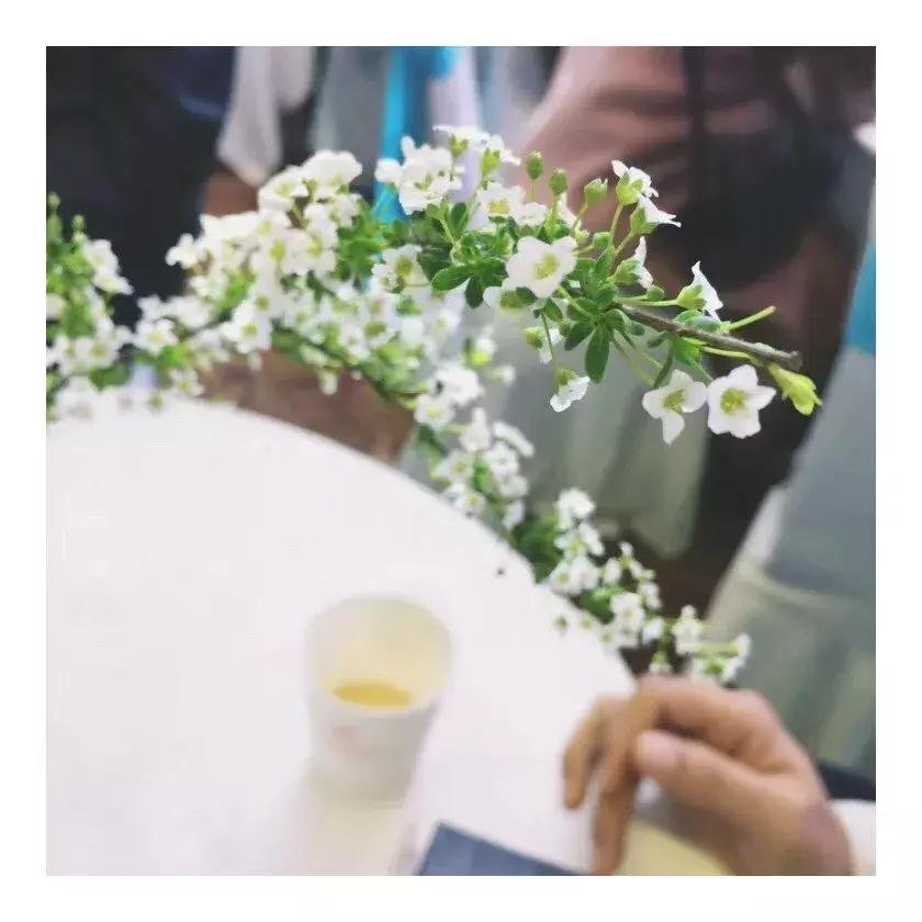 今天是中国的节日,今天是中国传统节日